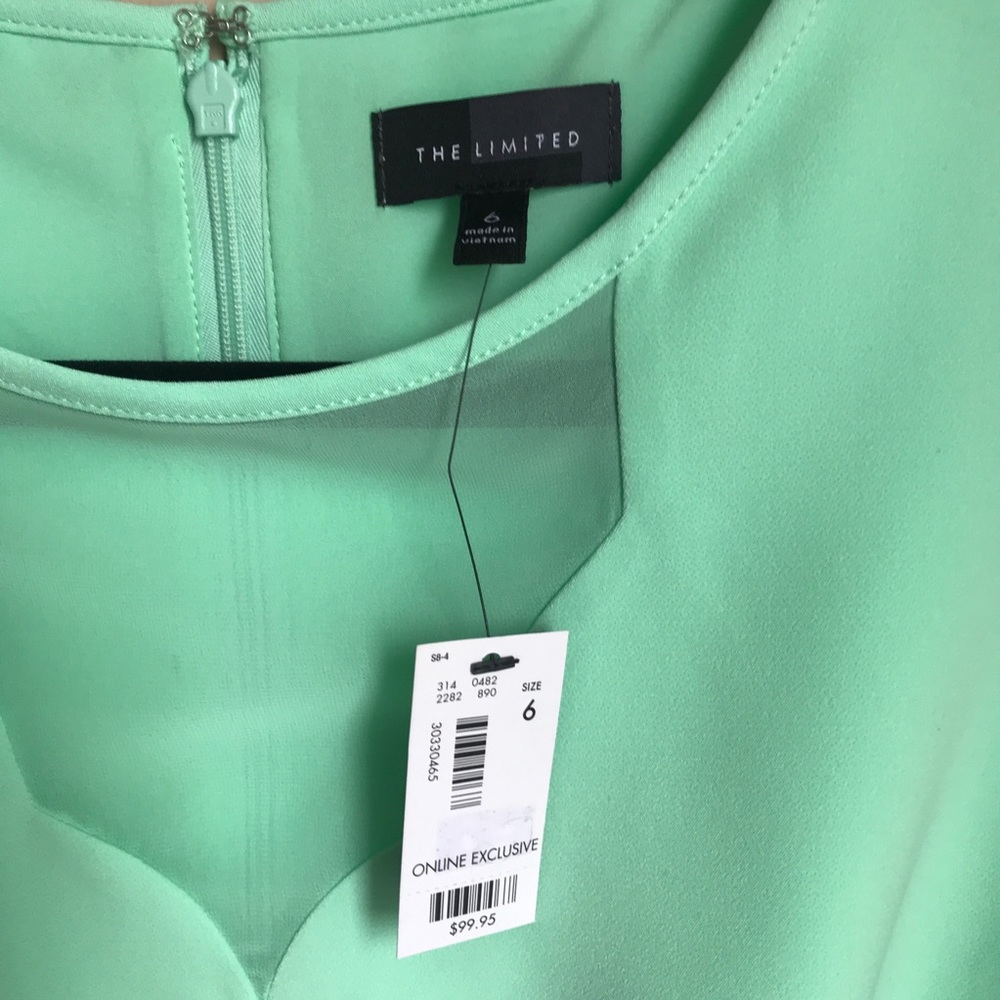 NWT The Limited Mint Scallop Dress - Picture 4 of 9